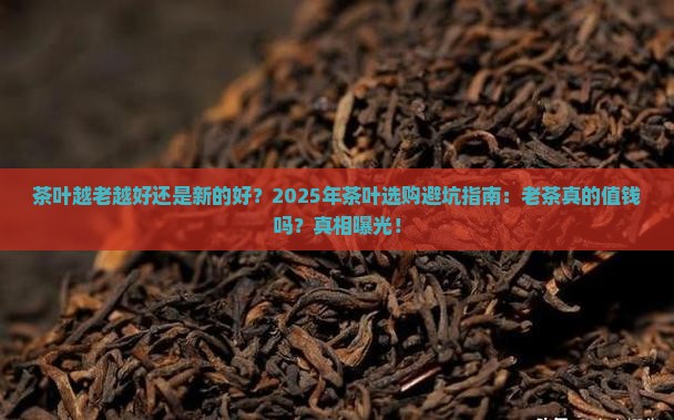 茶叶越老越好还是新的好