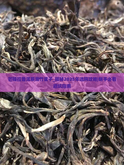 芒嘎拉普洱茶滑竹梁子 芒嘎拉普洱茶滑竹梁子