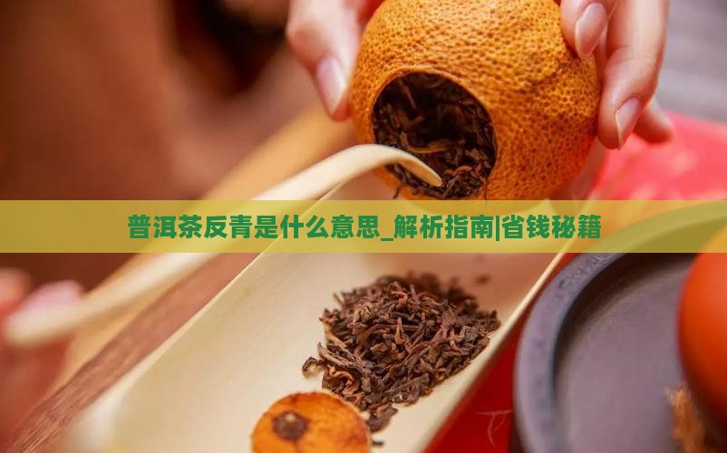 普洱茶反青是什么意思