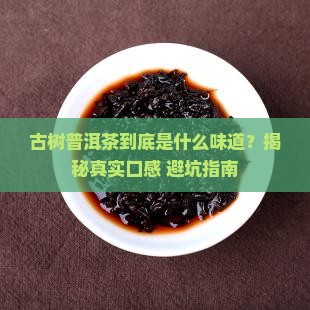 古树的普洱茶是什么味道的