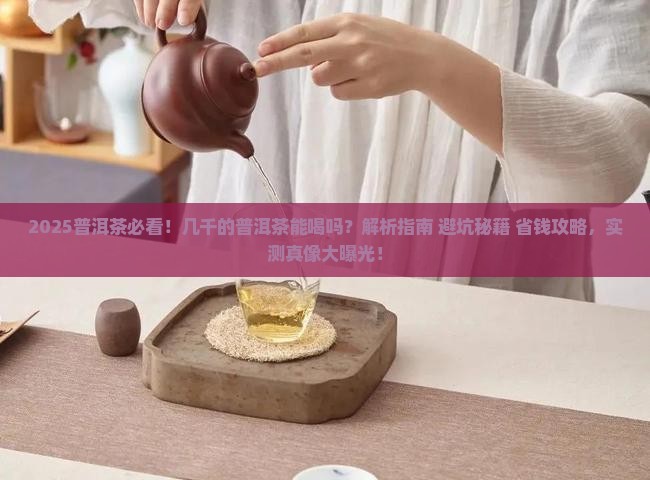 几千的普洱茶能喝吗