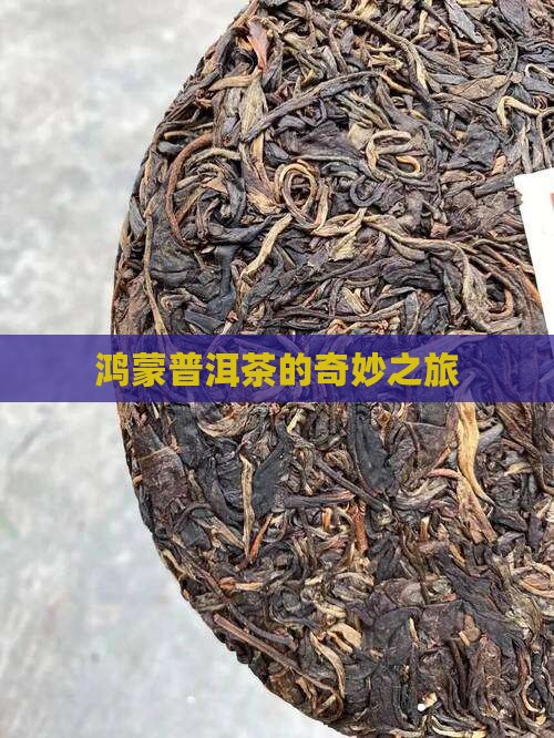 百家号鸿蒙普洱茶