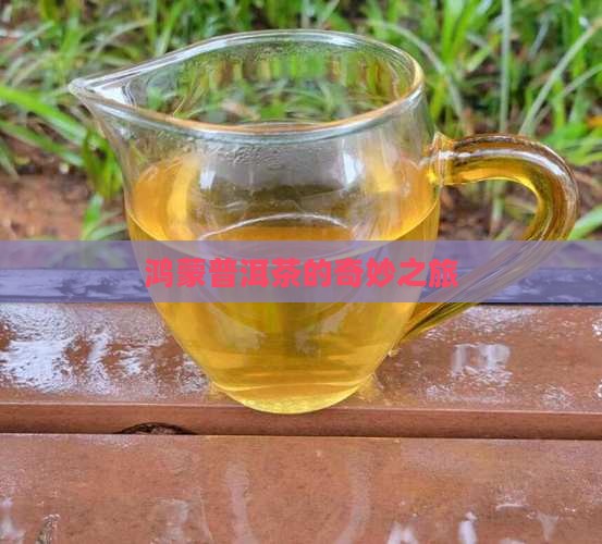 百家号鸿蒙普洱茶