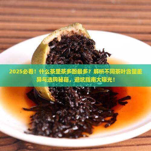什么茶里茶多酚最多