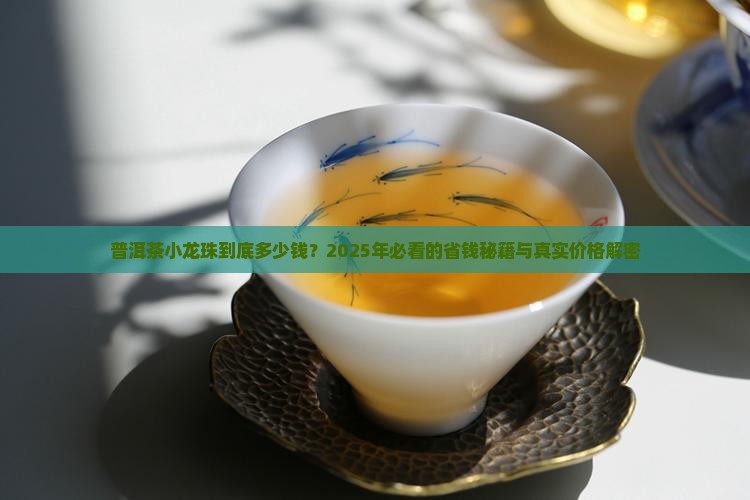 普洱茶小龙珠多少钱