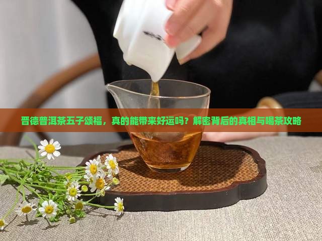 晋德普洱茶五子颂福