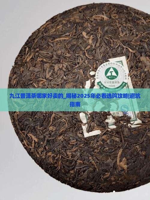 九江普洱茶哪家好卖的
