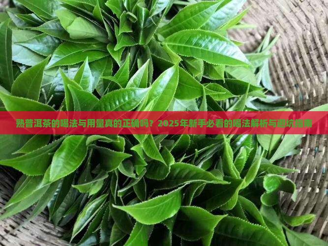 熟普洱茶的喝法与用量