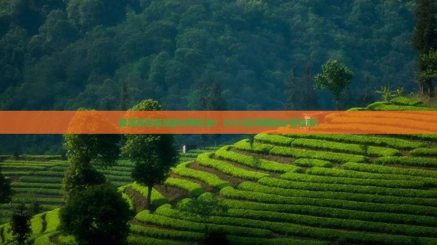 普洱茶用纸包装吗