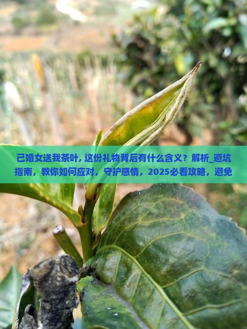 已婚女送我茶叶