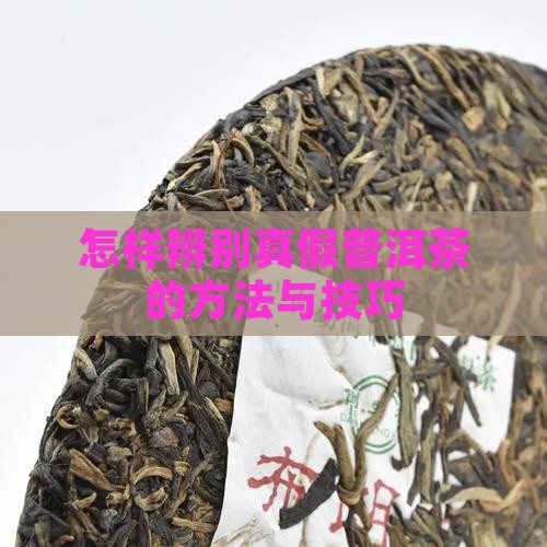 怎样辨别真假普洱茶
