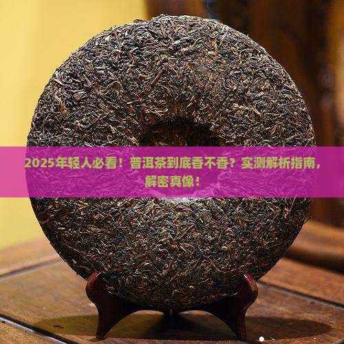 年轻人也喜欢普洱茶吗