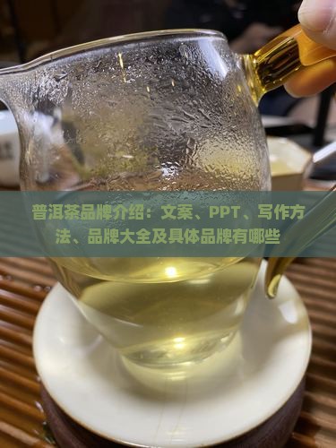 普洱茶品牌介绍 普洱茶品牌介绍