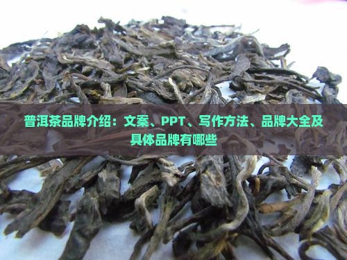 普洱茶品牌介绍 普洱茶品牌介绍