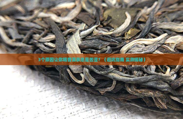 普洱茶的苦涩味