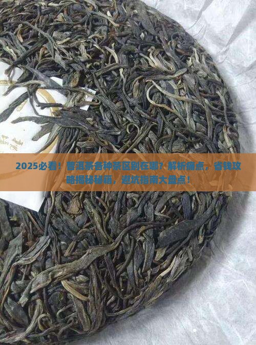 普洱茶各种茶区别在哪儿