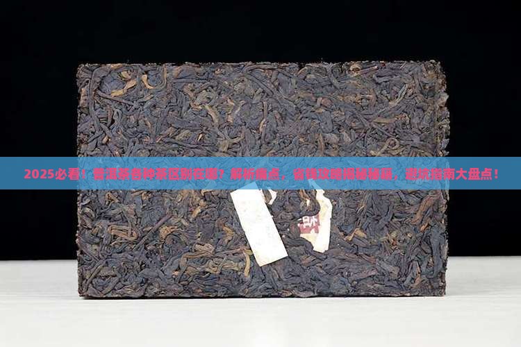 普洱茶各种茶区别在哪儿