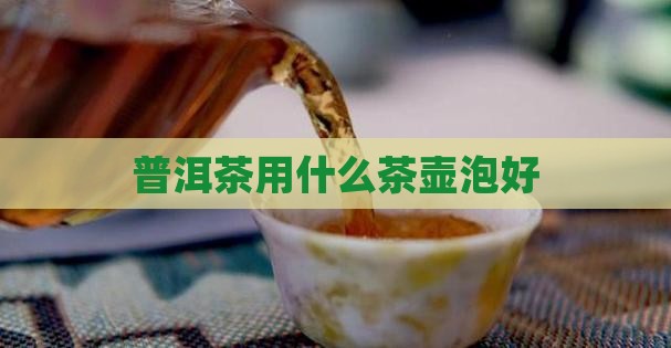 泡普洱茶的什么茶壶泡好 泡普洱茶的什么茶壶泡好