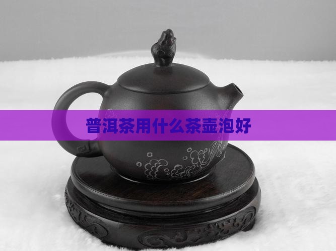 泡普洱茶的什么茶壶泡好 泡普洱茶的什么茶壶泡好