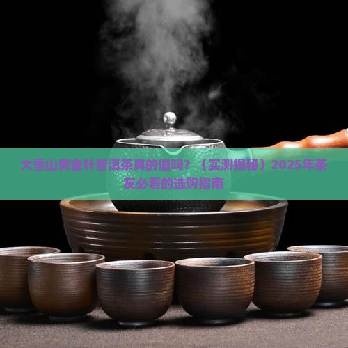 大雪山黄金叶普洱茶的特点