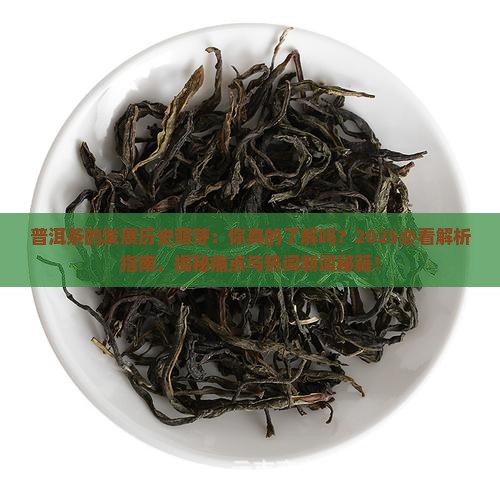 普洱茶的发展历史萌芽