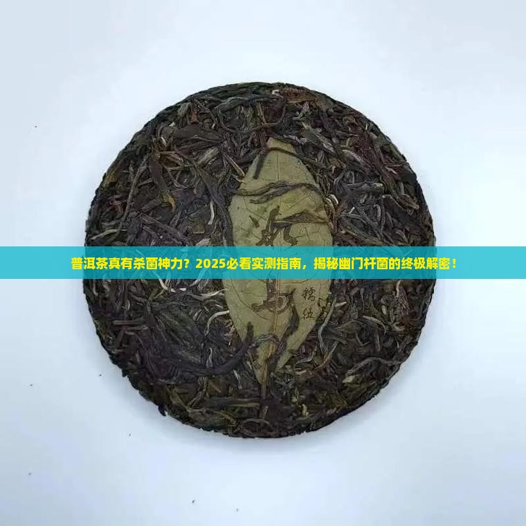 普洱茶可以杀幽门杆菌吗