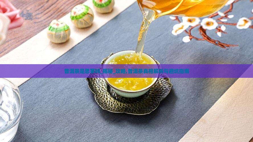 普洱茶是思茅吗