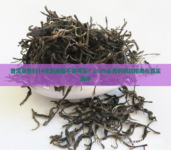 普洱茶昔归14年