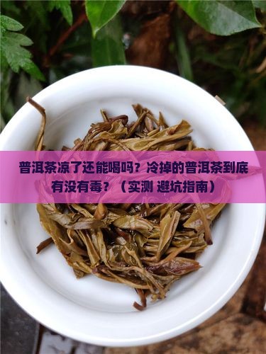 普洱茶冷了可不可以喝
