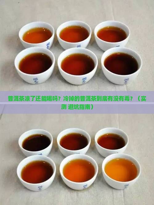 普洱茶冷了可不可以喝