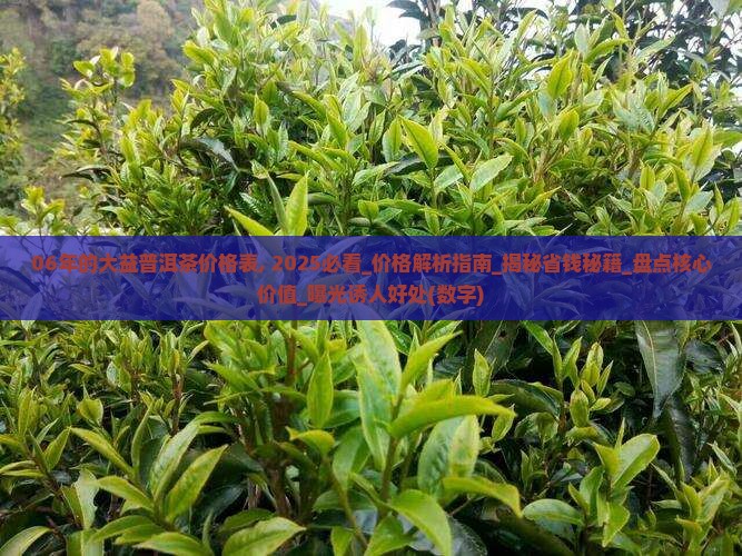 06年的大益普洱茶价格表