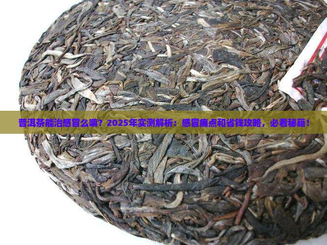 普洱茶能治感冒么嘛怎么喝