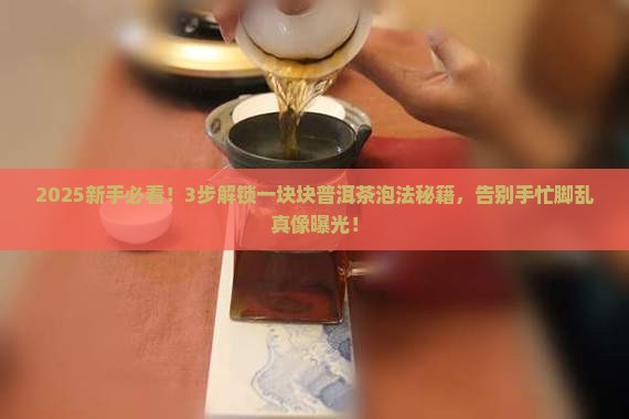 一块块的普洱茶如何泡