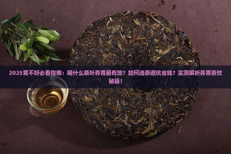 胃不好可以喝什么茶叶