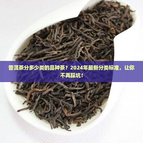 普洱茶分多少类的品种茶