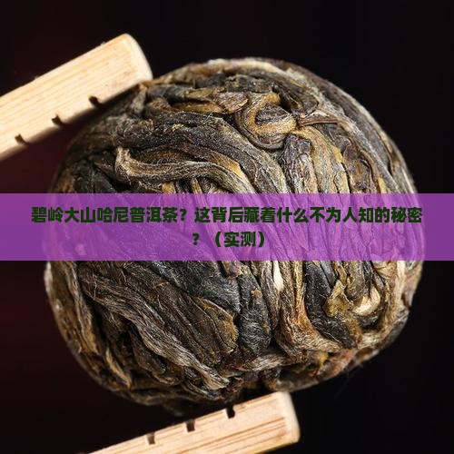 碧岭大山哈尼普洱茶