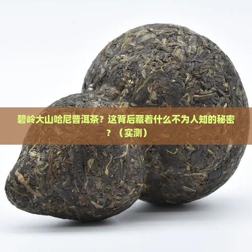 碧岭大山哈尼普洱茶