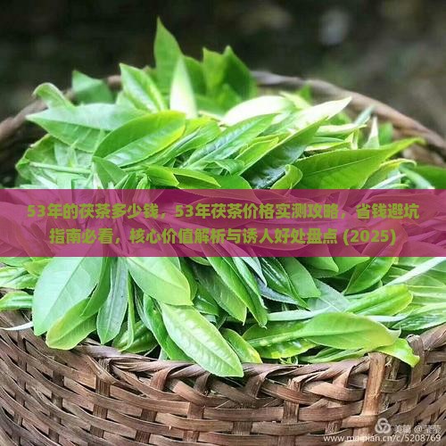 53年的茯茶多少钱