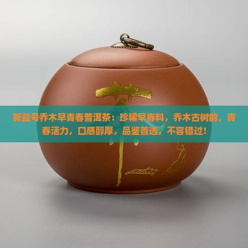 新益号乔木早青春普洱茶