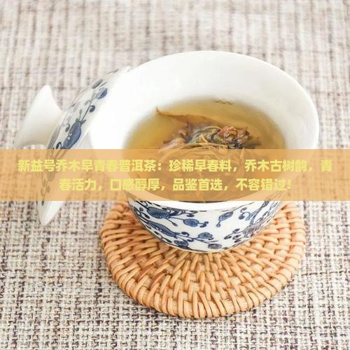 新益号乔木早青春普洱茶