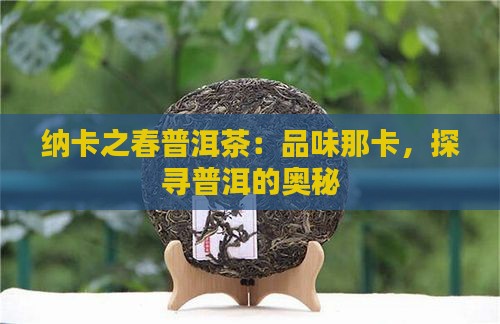 纳卡之春普洱茶