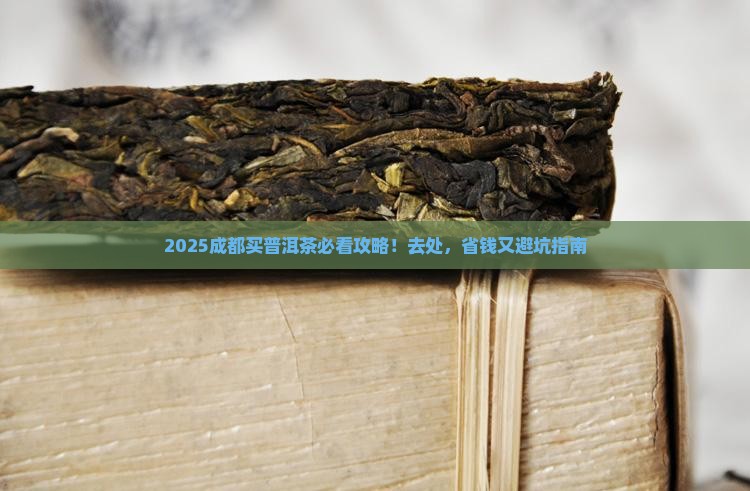 成都哪里卖普洱茶好一点