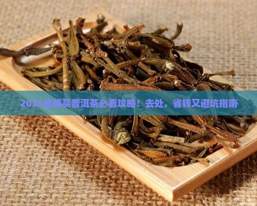 成都哪里卖普洱茶好一点