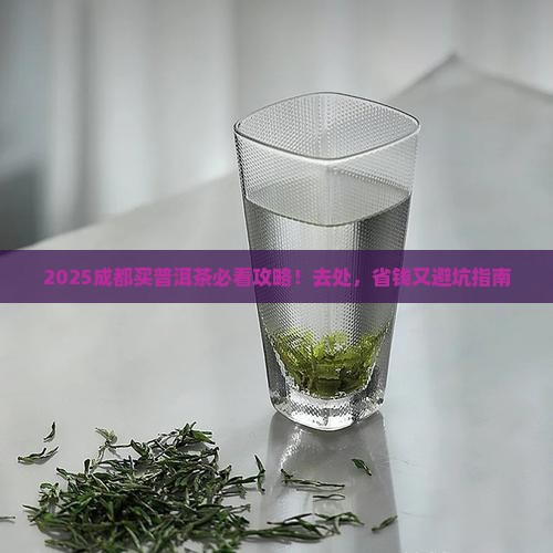 成都哪里卖普洱茶好一点