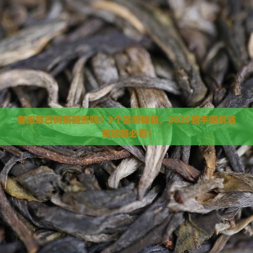 老班章古树茶可以煮吗