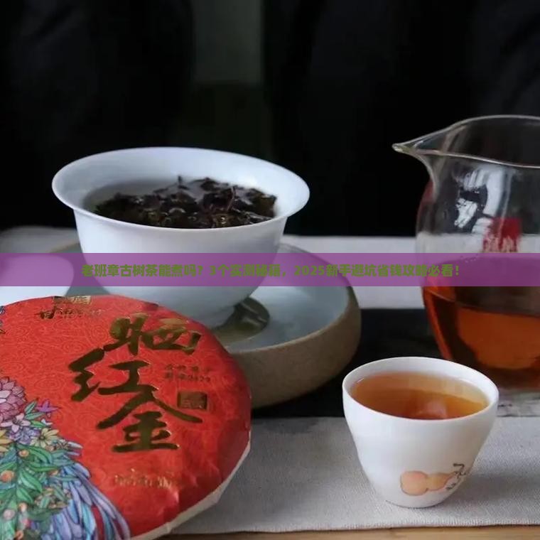 老班章古树茶可以煮吗