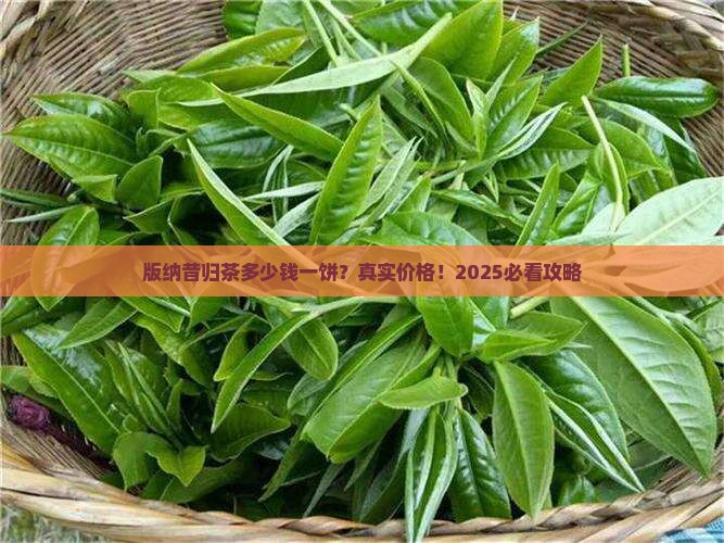 版纳昔归茶多少一饼
