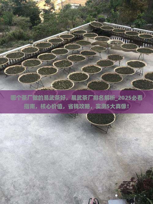 哪个茶厂做的易武茶好