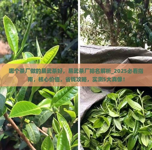 哪个茶厂做的易武茶好
