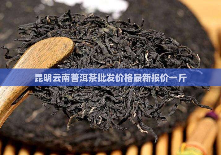 昆明普洱茶报价多少一斤